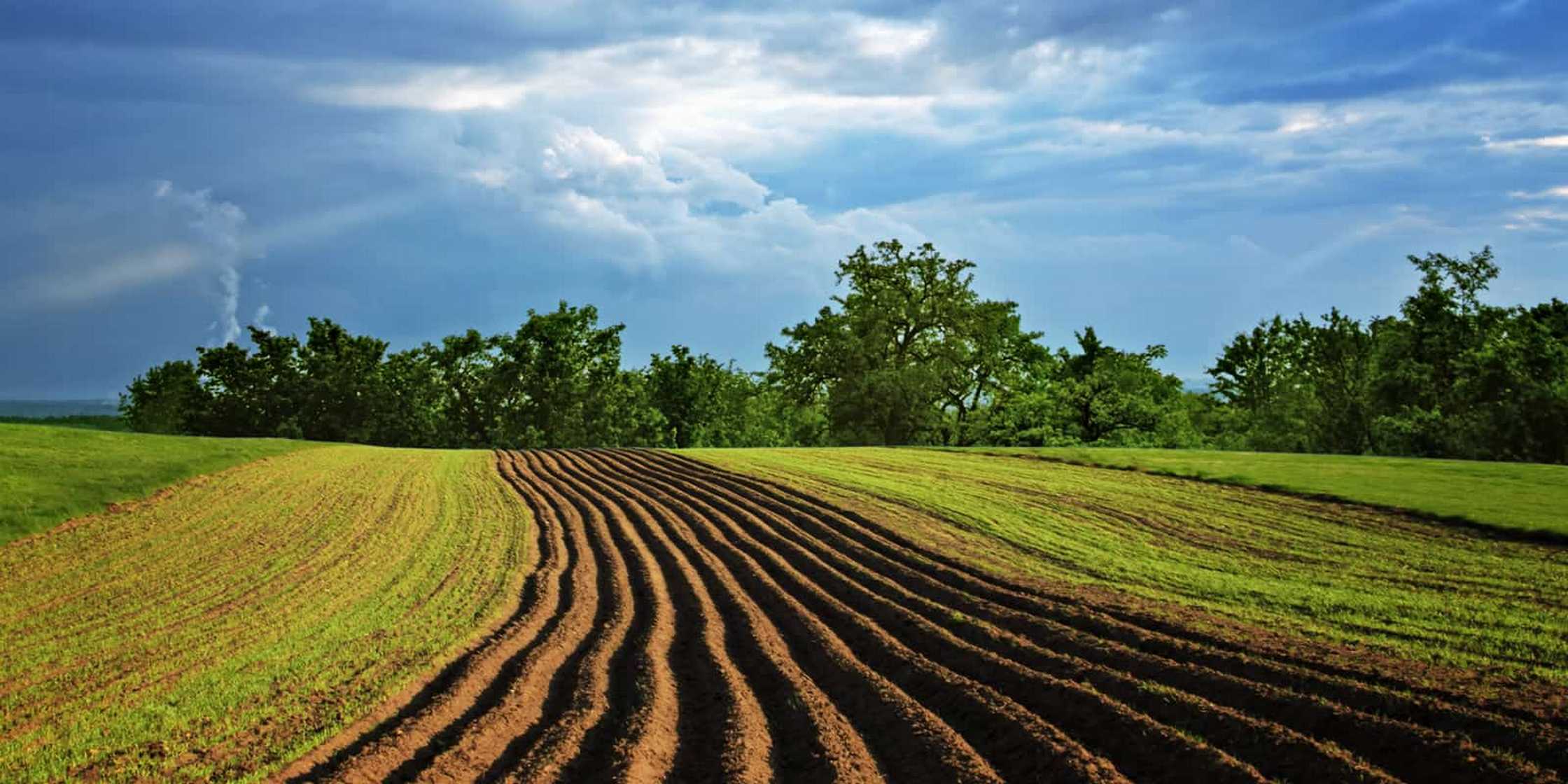 Land farming