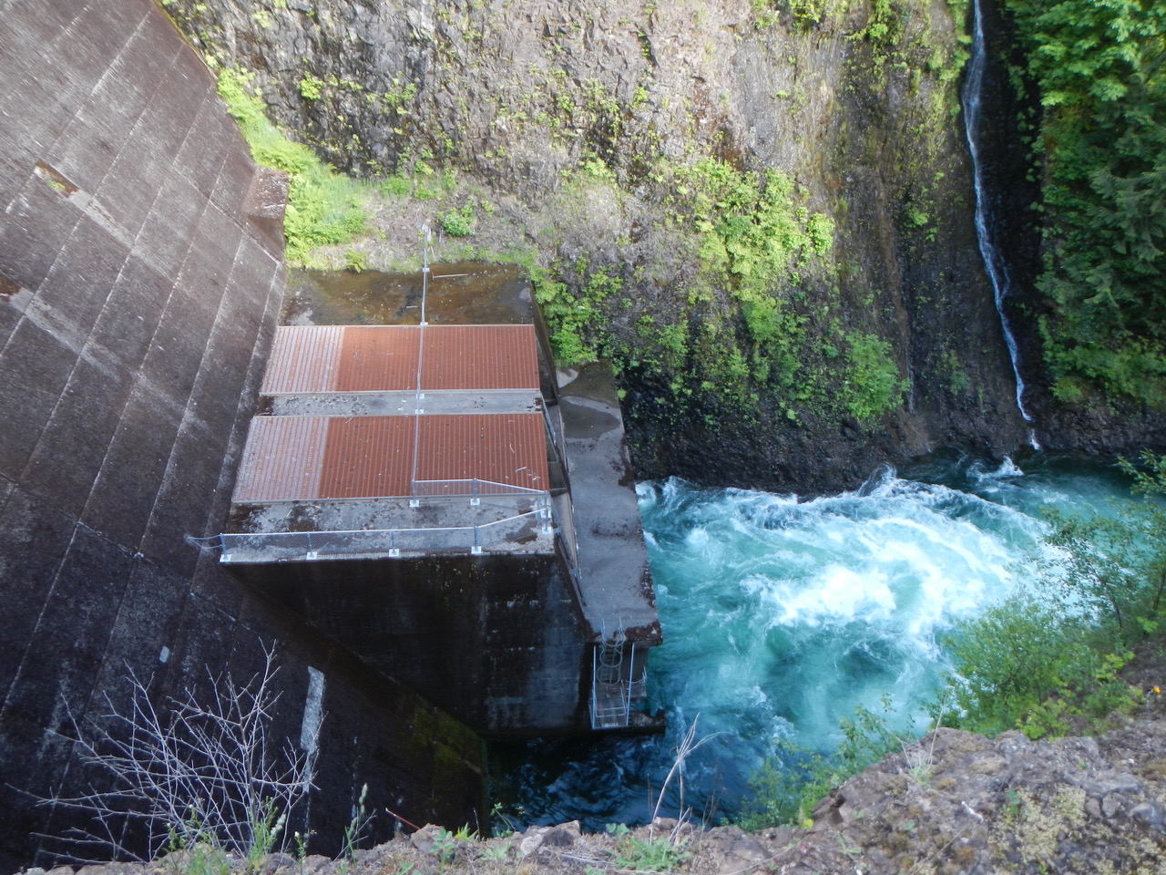 The lessons of the Wynoochee River Dam Works in Progress